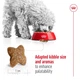 Сухой корм Royal Canin MINI ADULT для взрослых собак Мелких пород 800 г (3182550793124) - изображение 4