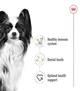 Сухой корм Royal Canin XSMALL ADULT для взрослых собак Миниатюрных пород 1.5 кг (3182550793728) - изображение 3