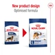 Сухой корм Royal Canin MAXI ADULT для взрослых собак Крупных пород 15 кг (3182550401937) - изображение 2
