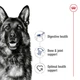 Сухой корм Royal Canin MAXI ADULT для взрослых собак Крупных пород 15 кг (3182550401937) - изображение 3