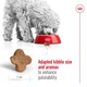 Сухий корм Royal Canin MINI ADULT 8+ для старіючих собак Дрібних порід 800 г (3182550831413) - зображення 4