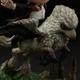 Фігурка HARRY POTTER Harry Potter and Buckbeak (Гаррі Поттер) - зображення 6