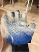 Перчатка для вычесывания шерсти True Touch, Тру Тач, Pet Glove, для кошек, собак, на правую руку, синяя - изображение 9