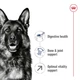 Сухий корм Royal Canin MAXI ADULT 5+ для старіючих собак Великих порід 4 кг (3182550402293) - зображення 3