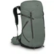 Рюкзак Osprey Sportlite 30 pine leaf green M/L зелений - изображение 1