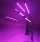 Фітолампа Led Plant Grow Leight USB на 6 ламп ( гнучка ) з таймером - зображення 12
