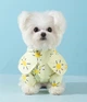 Дождевик для собак Hipidog YSunny M с капюшоном и принтом, Желтый (HPDYSN11) - изображение 2