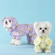 Дождевик для собак Hipidog YSunny M с капюшоном и принтом, Желтый (HPDYSN11) - изображение 4