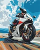 Картина по номерам 40х50 см. Быстрый мотоцикл . Brushme 4133 - изображение 1