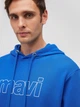 Худи мужское Mavi M065606-70913 S Синее (8683343689921) - изображение 5