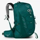 Рюкзак Osprey Tempest 20 жіночий jasper green WXS/S зелений - изображение 1