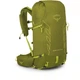 Рюкзак Osprey Talon Velocity 30 matcha green/lemongrass L/XL зелений - зображення 1