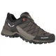 Кросівки Salewa MS MTN Trainer Lite GTX чоловічі 7512 44 коричневі - изображение 1