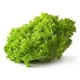 Насіння Салат Лолло Біонда, 1 г (GL Seeds) - зображення 3