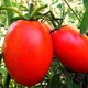 Семена Томат Де-барао гигант красный, 0,1 г (GL Seeds) - изображение 4