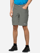 Spodenki sportowe męskie Jack Wolfskin Tourer Shorts M 1507231-4143 46 Khaki (4064993663556) - obraz 1