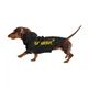 Дощовик для собак Noble Pet Moss Bravery M-Short - зображення 4
