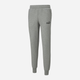 Spodnie dresowe męskie ocieplane Puma Ess Logo Pants Fl Cl 586714-03 XS Szare (4063697309333) - obraz 4