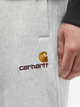 Спортивні штани чоловічі Carhartt I027042-482XX S Сірі (4064958107477) - зображення 4