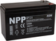 Аккумуляторная батарея NPP NP12-9 (NP1290) - изображение 1