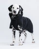 Попона для собак осень/зима Softshell Black Paikka (30) - изображение 8