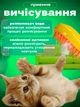 Паровая щетка для домашнего груминга кошек и собак аккумуляторная расческа для удаления шерсти Orange - изображение 4
