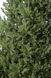 Ялинка лита "Віденська" Зелена 3,00м (SG2911180035301) ТМ SigaGroup - зображення 4