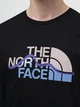 Футболка бавовняна довга чоловіча The North Face NF0A87NTJK31 XS Чорна (196575402575) - зображення 3