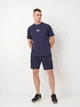 Шорты хлопковые короткие мужские Umbro Terrace Short 66542U-9T7 S Темно-серые (5063178233101) - изображение 3