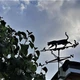 Флюгер на крышу Ветряк на дом Кошка и мышки - изображение 3