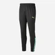 Спортивные штаны мужские Puma Teamliga Training 65724251 M Черные (4065453061875) - изображение 1