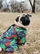 Вітровка для собак WAUDOG Clothes, малюнок "Калина", розмір L50 (5351-0228) - зображення 2