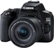 Зеркальный фотоаппарат Canon EOS 250D kit (18-55mm) EF-S IS STM (3454C007) - изображение 2