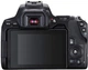 Зеркальный фотоаппарат Canon EOS 250D kit (18-55mm) EF-S IS STM (3454C007) - изображение 6