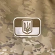 Худі Сили Спеціальних Операцій МС-Койот | KRAMATAN Tactical Design XXL - зображення 11