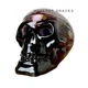 Прозорий череп із солодощами Halloween Skull чорний 333 г - зображення 1