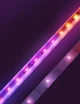 Govee Стрічка світлодіодна розумна H61E3 Strip Light M1, 2м, RGBIC, WI-FI/Bluetooth, Білий - зображення 7