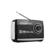 Колонка-радиоприемник портативная Real-El X-510 Black, 3 Вт, пластиковый корпус, FM/AM/SW, USB, SD/microSD, аккумулятор, фонарик - изображение 2