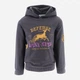 Детское теплое худи для девочки Disney Harry Potter XH1244 98 см Серое (3609087314863) - изображение 1