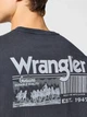 Футболка хлопковая длинная мужская Wrangler 112357350 M Темно-серая (5401139132207) - изображение 4