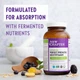 Вітаміни New Chapter Perfect Prenatal Multivitamin 96 таблеток (4384304487) - зображення 4