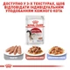 Корм Royal Canin Instinctive Loaf вологий для дорослих котів 85 гр - зображення 8