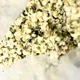 Очищене насіння коноплі (ядро) натуральне 500 г Pure hemp (PHMP-500) - зображення 7