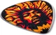 Медиатор Dunlop JHP14HV Jimi Hendrix ´69 Psych Series Voodoo Fire Heavy 6 шт (R126959) - изображение 3
