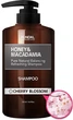 Безсульфатный шампунь для волос Kundal Honey & Macadamia Cherry Blossom с ароматом цветущей вишни 500 мл (8809568740449) - изображение 2
