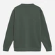Світшот чоловічий Sprandi AW21-BLM009 M Зелений (5903698954899) - зображення 9