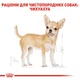 Корм Royal Canin Chihuahua Adult влажный для взрослых собак породы чихуахуа 85 гр - изображение 3