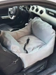 Автокресло автогамак лежак сумка-переноска для собак и кошек 50х70 см Incor Серый (И-116) - изображение 2