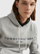 Bluza męska z kapturem Tommy Hilfiger MW0MW10752-501 XL Szare (8719858492289) - obraz 5