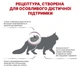 Cухий корм для котів Royal Canin Renal 400 г - зображення 4